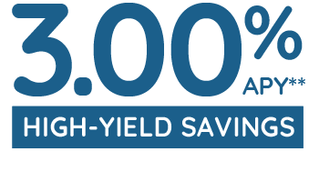 Northeast Bank High Yield Savings Account