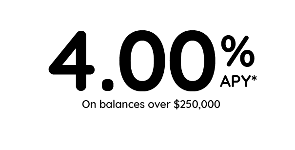 Northeast Bank High-Yield Savings over $250,000