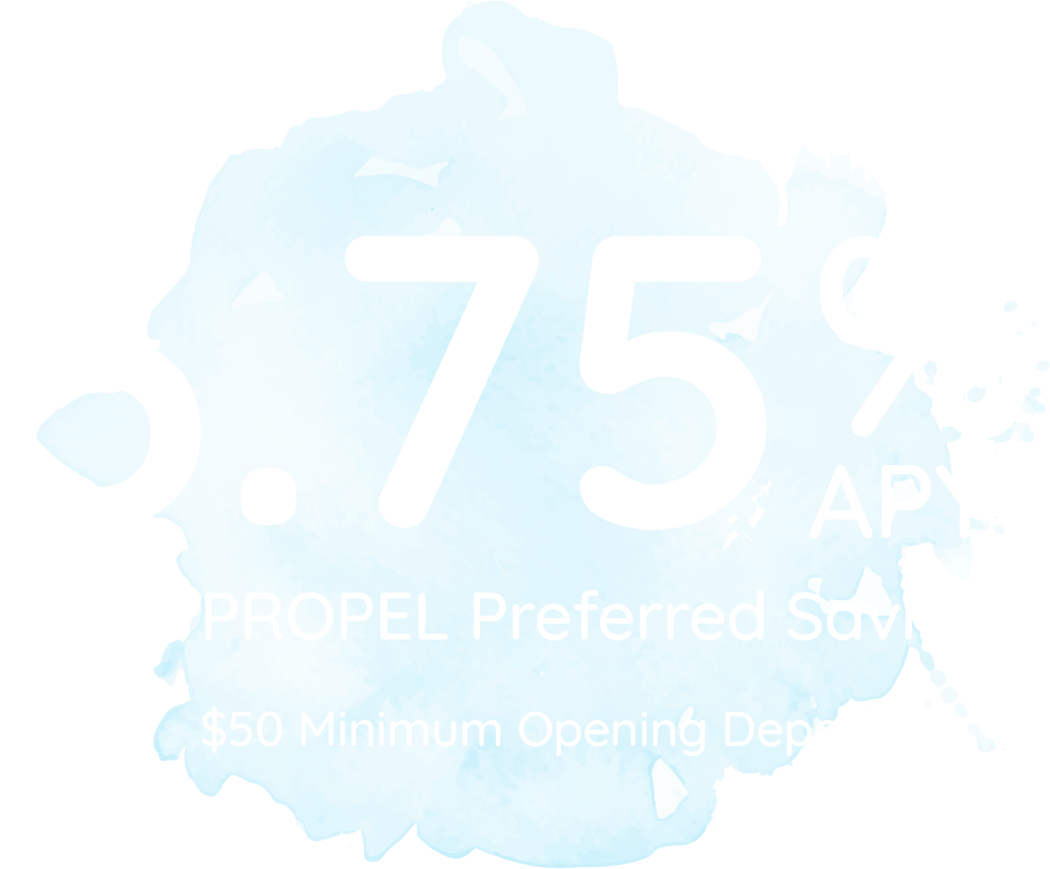 Northeast Bank Propel Preferred Savings