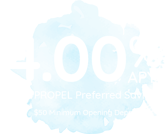 Northeast Bank Propel Preferred Savings